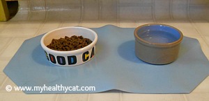 Cat food and water bowls