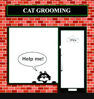 Cat grooming shop