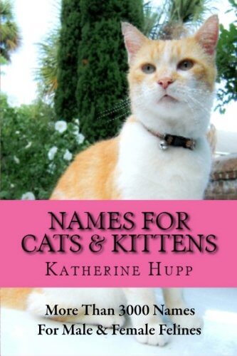 Names for Cats & Kittens book