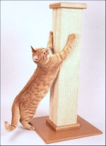 Cat scratching on tall scratching post