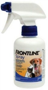 Frontline Spray for Cats